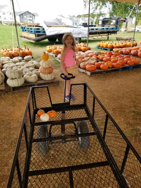 Mountain Man Farms, LLC