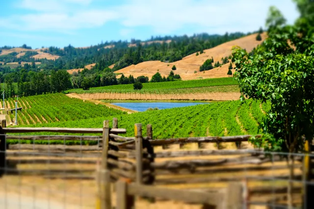 Anderson Valley Winegrowers Association
