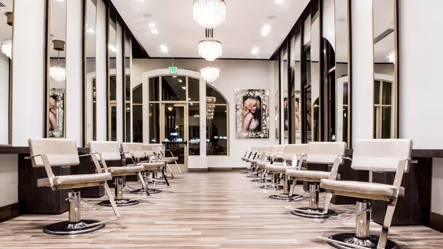 Lunatic Fringe Holladay