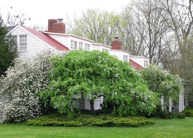 Hermitage Bed & Breakfast "Aunt Marthas"