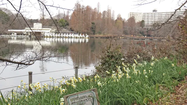 Musashino Tourism Office