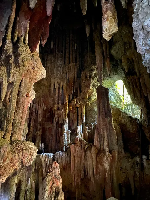 Grutas - Parque Lage