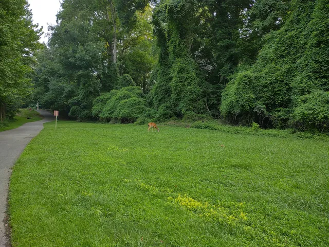 Greenway Trail North Hills