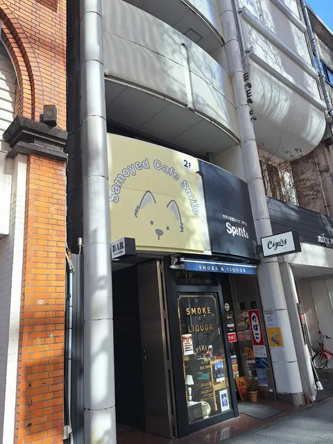 Samoyed Café Smile/Samoyed Café Nagoya Sakae