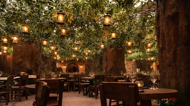 Voltereta Nueva Zelanda - Zaragoza