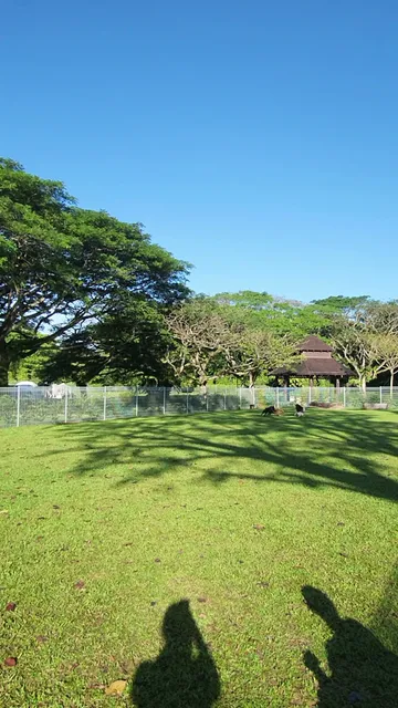 Dog Run @ Pasir Ris Park