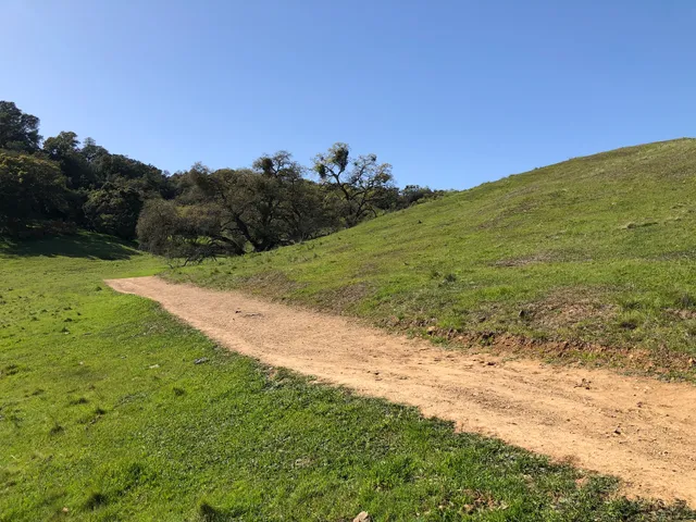 Thermalito Ridgeline Oak Tree Trail