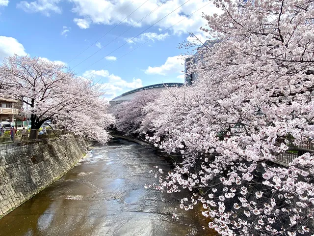 Machida City Gymnasium