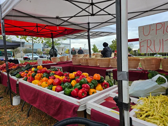 Scarborough Farmers' Market - Rosebank Park
