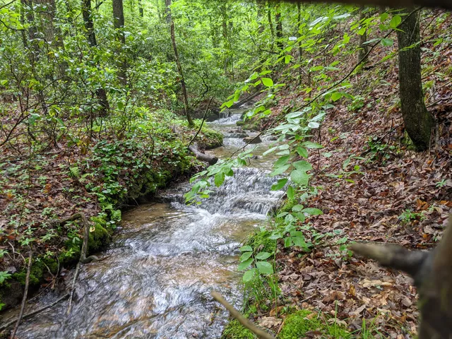 Little Mountain Falls Trail