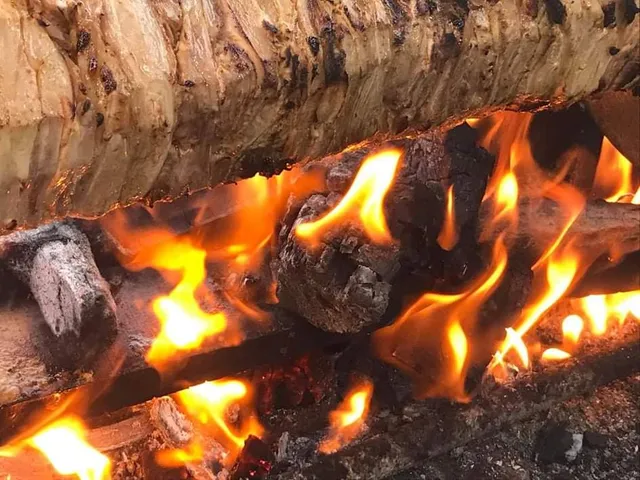 كص ركن الجزائر