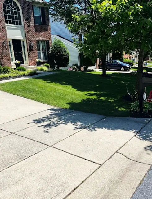 MD Lawn Care & Landscaping
