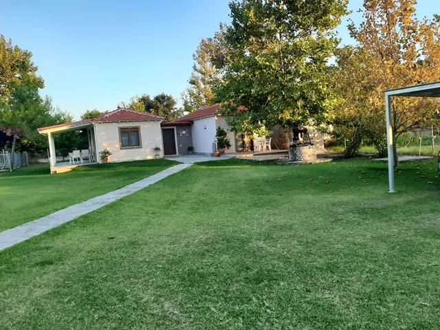 Daphnes Houses Halkidiki