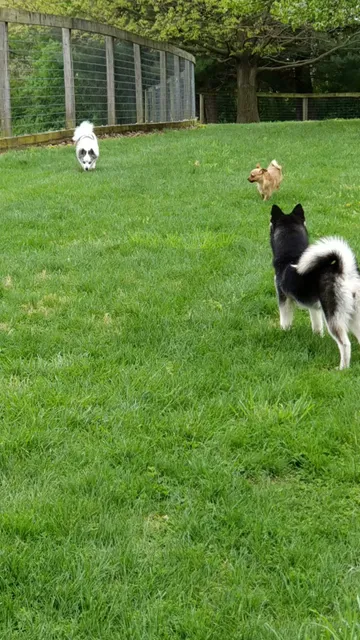 John Rudy County Park