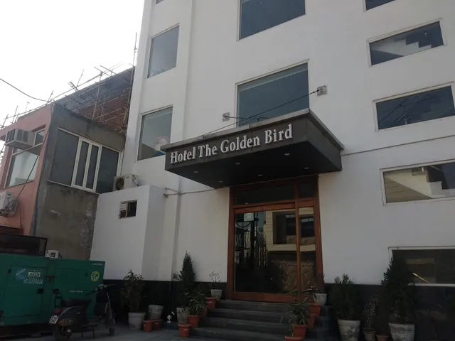Golden Bird Agra