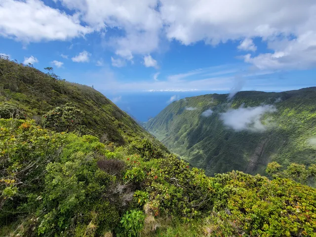 Waikolu Valley Lookout