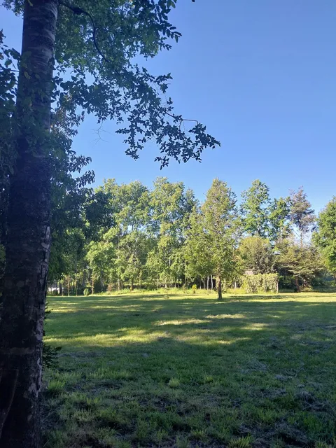 MINIMARKET — CAMPING INALAFKEN COLICO