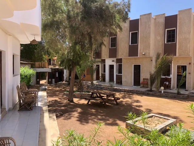 Oasis Fighting Kangaroo Dahab