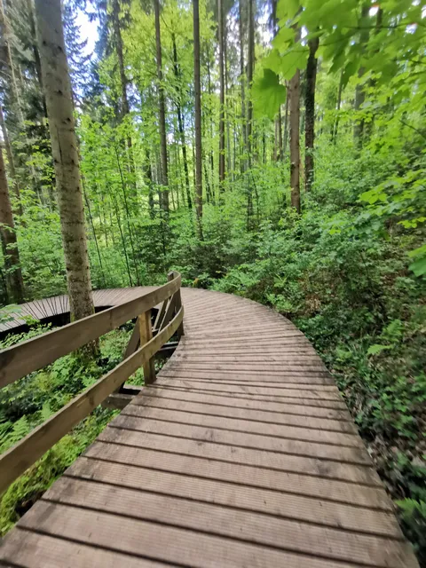 NA­TU­RA­TUM Er­leb­nis­wald­pfad