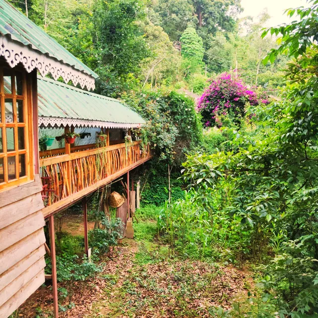 Mirik Treehouse Homestay