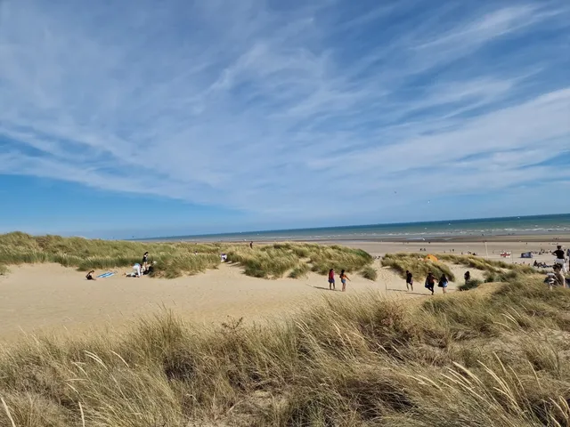 Camber sands