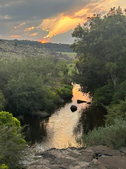Three Falls Trout Farm