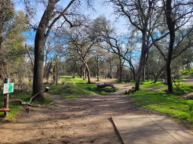 Shady Oaks Disc Golf Course