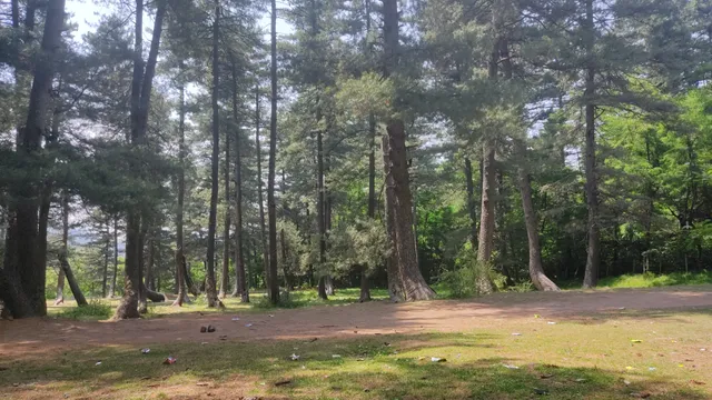 Shikargah Tral Wildlife Sanctuary