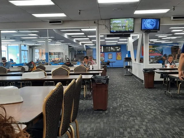 Northern Lights Bingo