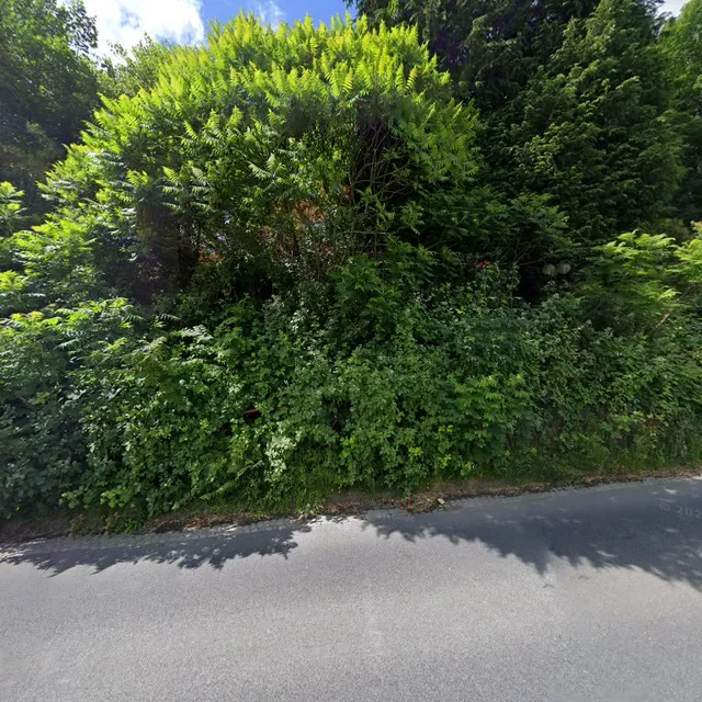 Fewo Morgensonne Krippen