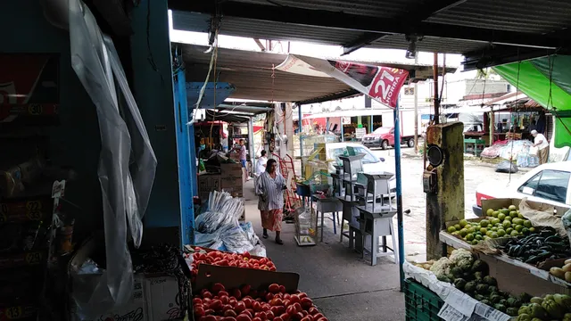 popular market, Solidarity