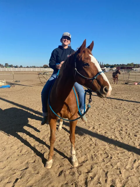 Bradshaw Equestrian & Co. LLC.