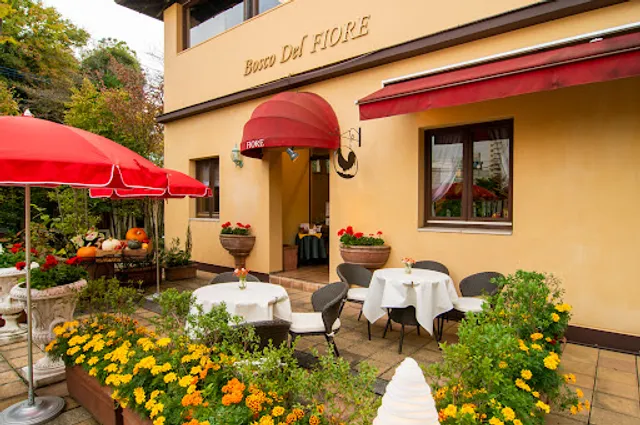 アンリ・フィオーレ