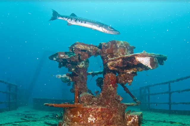 Finz Dive Center and Tackle Shop