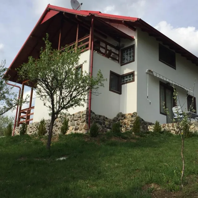 Casa Roman Viseu de Sus