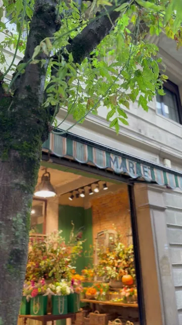 MARKET BILBAO Flores plantas Brocante