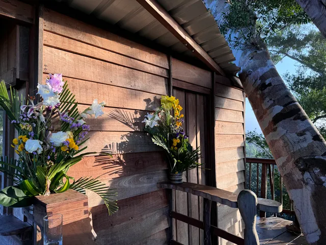 Alta Sanctuary Treehouse