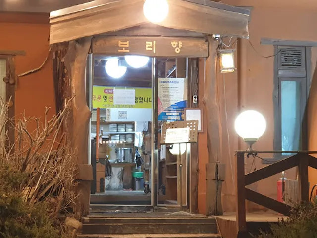 보리향 (BoRi Hyang)