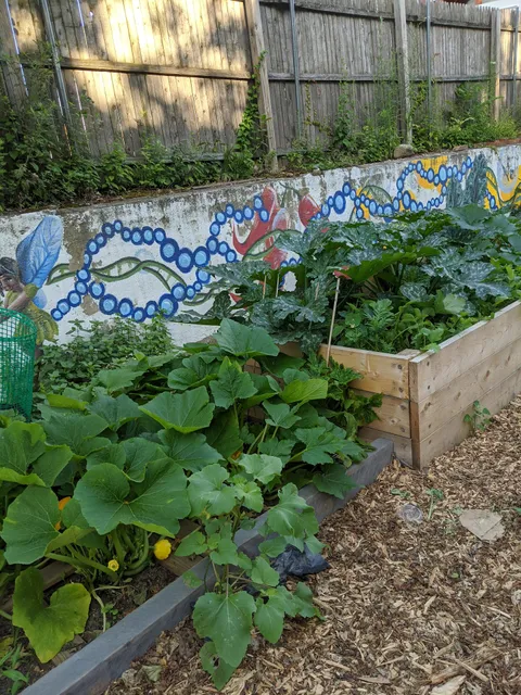 Northern Strand Community Farm