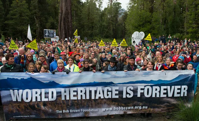 Bob Brown Foundation