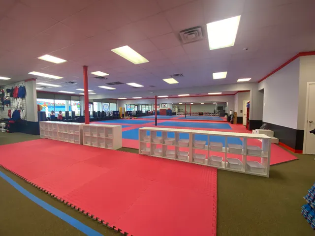 BISANG TAEKWONDO USA