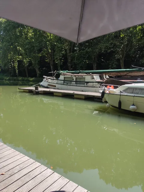 Camping et buvette Les platanes de Meilhan sur Garonne