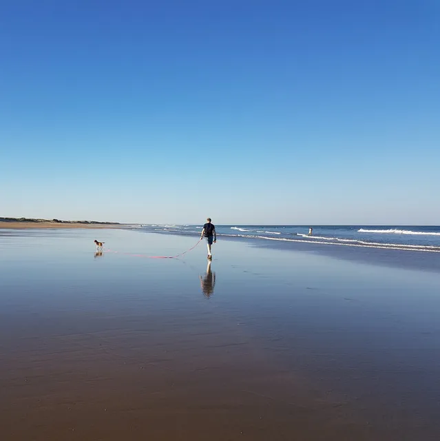 Ferienwohnung Urlaub mit Hund - Urlaub mit Hund an der Ostsee
