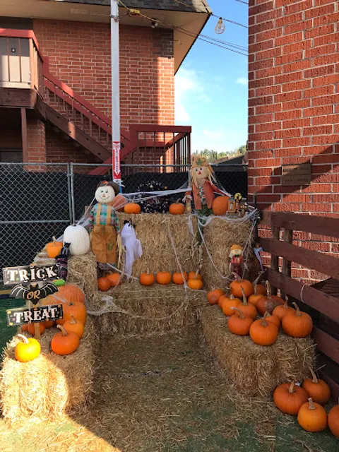 Enchanted Country Pumpkins