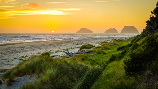 Shore Thing Vacation Rentals