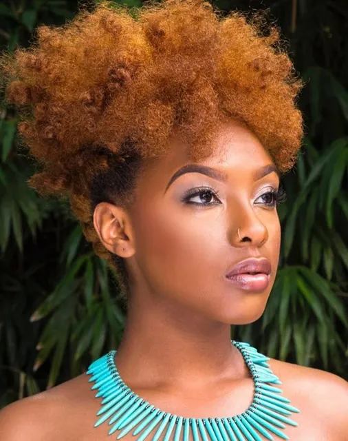 Natural Beauty Organics Natural Hair Salon