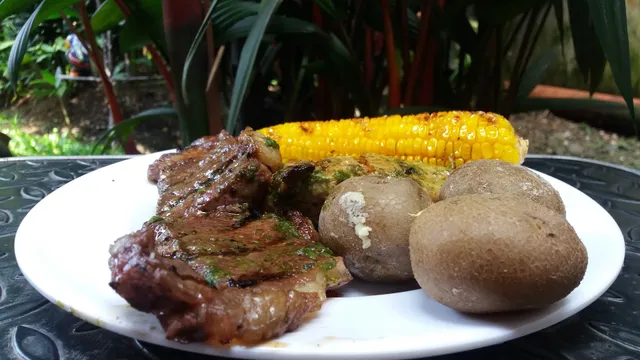 Juanparrilla libertadores