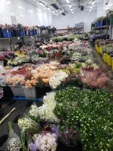 Potomac Floral Wholesale, Inc.
