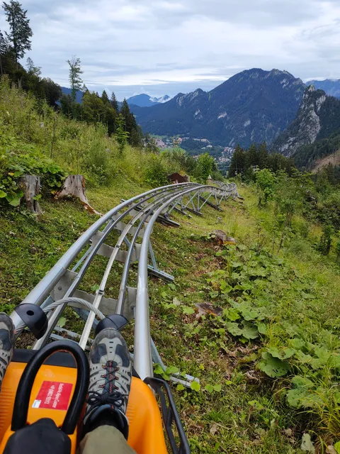 Alpine Coaster