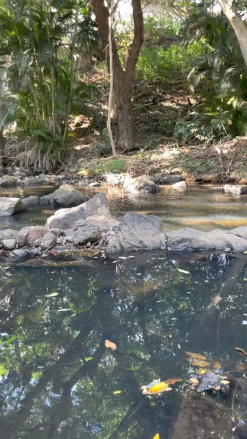 Ka Papa Loʻi O Kānewai